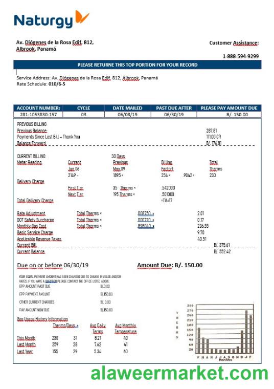 Panama Naturgy electricity company in Word format